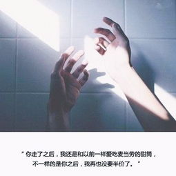 珍惜所有的不期而遇作文開(kāi)頭