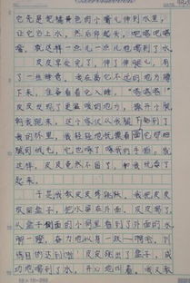 動(dòng)物作文怎么寫(xiě)(作文動(dòng)物怎么寫(xiě))