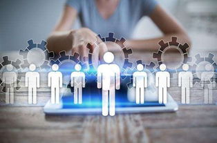 人事員工關(guān)系管理職責(人事員工關(guān)系工作總結)