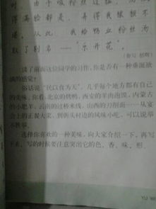 你喜歡的一道美食作文600字作文開(kāi)頭