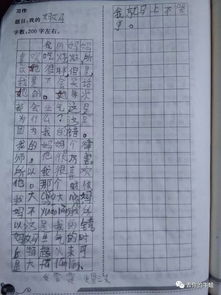 我的媽媽作文怎么開(kāi)頭怎么寫(xiě)