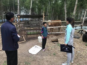 鄉村干部民情日記(年雙聯(lián)民情日記)