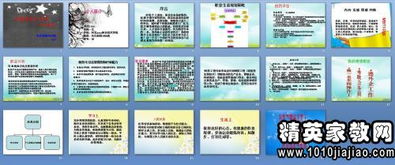 職業(yè)自我分析報告(自我分析報告職業(yè)規劃)