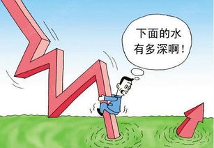 債券市場(chǎng)及其分類(lèi)(話(huà)語(yǔ)信息及其分類(lèi))