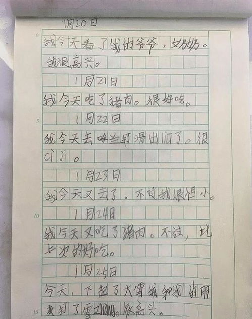 寫(xiě)寒假作文開(kāi)頭