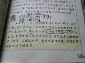 寫(xiě)心靈美題材作文開(kāi)頭