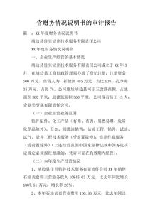 經(jīng)營(yíng)情況審計報告范文(公司審計報告范文)