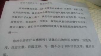 以童為題用感受開(kāi)頭的作文