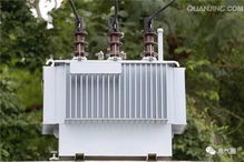 配電變壓器燒毀的原因及預防措施(振動(dòng)電機燒毀的原因及其預防措施)