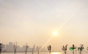 五級日出即景作文開(kāi)頭