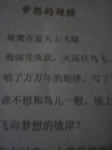 夢(mèng)想作文開(kāi)頭排比