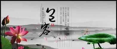 我學(xué)會(huì )了寬容作文的開(kāi)頭與結尾