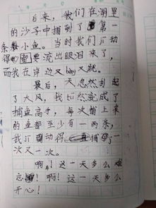 我在中的發(fā)現600字作文開(kāi)頭怎么寫(xiě)