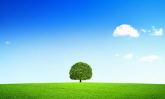 大自然交響曲作文開(kāi)頭結尾