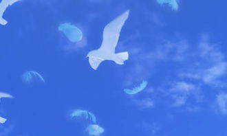 作文十六歲的天空開(kāi)頭