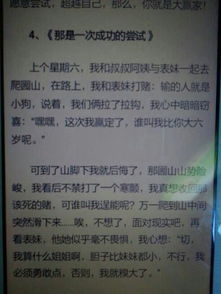 那是一次嘗試500字作文開(kāi)頭結尾