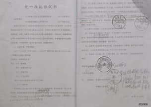 征用林地補償協(xié)議(林地征用補償協(xié)議)