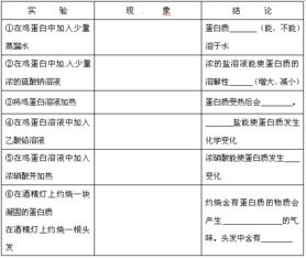 女西裝的實(shí)驗報告(女款西裝搭配)