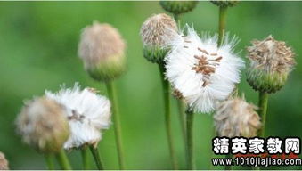 服裝店銷(xiāo)售實(shí)習報告(服裝店銷(xiāo)售實(shí)習報告)