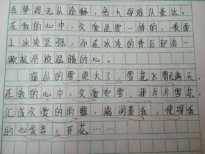 我曾經(jīng)的驕傲作文開(kāi)頭結尾