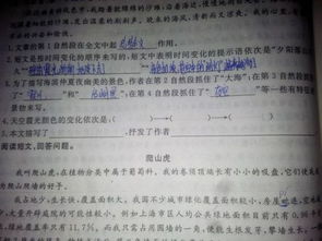 寫(xiě)大自然的開(kāi)頭作文有什么