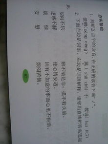 寫(xiě)身邊的小能人的作文開(kāi)頭