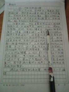 一次朗讀比賽的作文開(kāi)頭怎么寫(xiě)