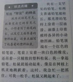 作文我喜歡你聊聊開(kāi)頭