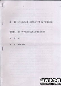 大學(xué)生實(shí)習調研報告范文(大學(xué)生企業(yè)實(shí)習調研報告)
