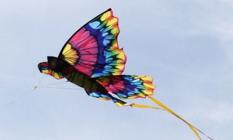 制作風(fēng)箏作文開(kāi)頭