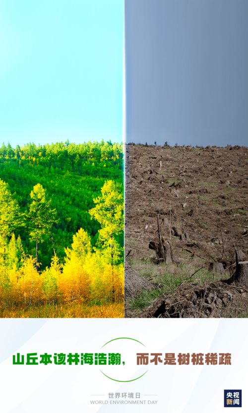 青春夢(mèng)想作文開(kāi)頭和結尾