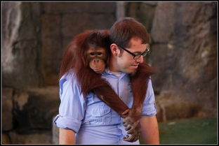 動(dòng)物與人故事作文開(kāi)頭