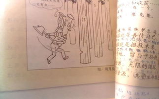 六級第四單元的作文開(kāi)頭和結尾怎么寫(xiě)作文