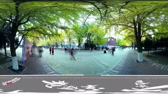 家鄉的變化(家鄉的變化)