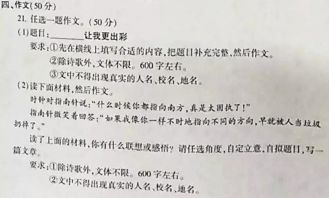 挑戰讓我更出彩作文開(kāi)頭