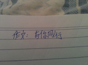 與你同行的時(shí)光作文開(kāi)頭結尾