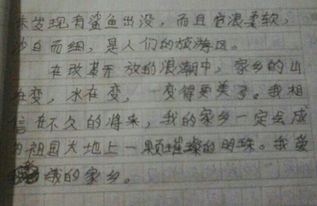 水滸傳讀后感800字作文,《城南舊事》讀后感800字作文,勸學(xué)讀后感800字作文高中