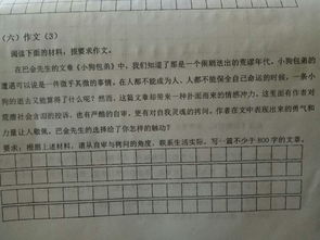 我是主角作文700字開(kāi)頭