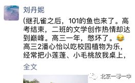 經(jīng)歷讓我收獲什么作文開(kāi)頭