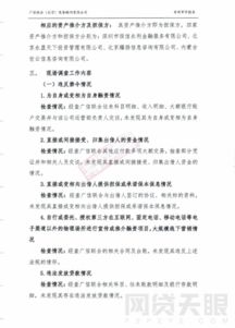 專(zhuān)項審計報告范文精選(專(zhuān)項審計報告范文)