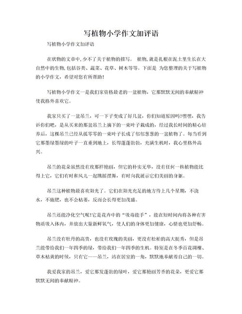 作文加評語(yǔ)(理想作文加評語(yǔ))