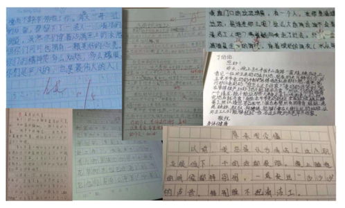 環(huán)境衛生作文開(kāi)頭