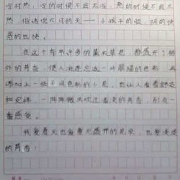 曬一曬我自己作文開(kāi)頭