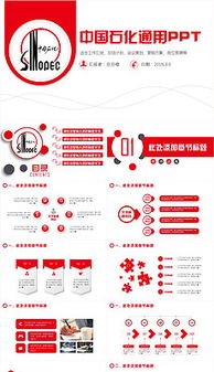 中石油競聘報告范文(中石油實(shí)習工作報告范文)