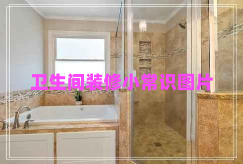 衛生間裝修小常識圖片
