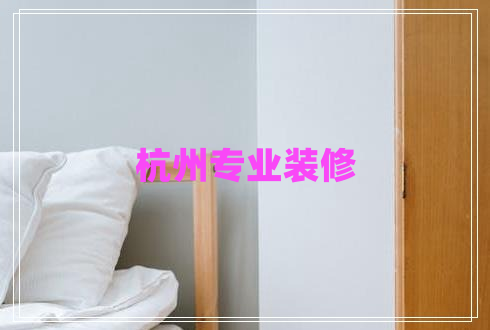 杭州專(zhuān)業(yè)裝修