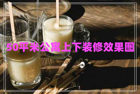 50平米公寓上下裝修效果圖