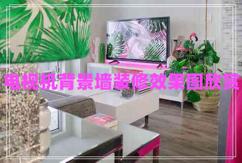 電視機背景墻裝修效果圖欣賞