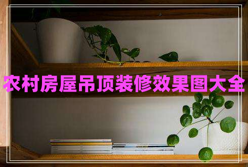 農村房屋吊頂裝修效果圖大全