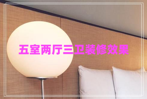 五室兩廳三衛裝修效果